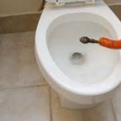 toilet unblocking
